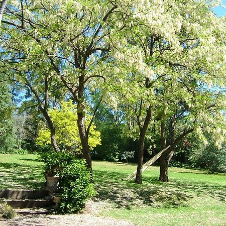 Hermitage Cottage Kurrajong エクステリア 写真